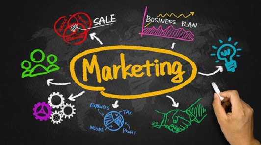 Strategy Marketing Management